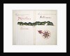 Masatlan and Sallinas by William Hack