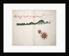 The High Land of Cape Blanco by William Hack