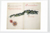 Coronados by William Hack