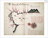 The Bay of Phillipina by William Hack