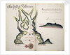 The Gulf of Vallona by William Hack