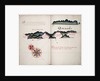 Quemado by William Hack