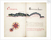 Coaque and Borrachos by William Hack