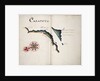 Caraputo by William Hack