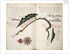 The Bay of Colan & Port of Paita by William Hack