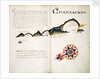 Guanbacho by William Hack