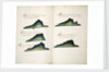 Views of Cerro Mongon by William Hack
