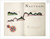 Nastras, South American Pacific coast by William Hack