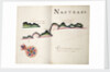 Nastras, South American Pacific coast by William Hack