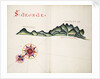 St George, South American Pacific coast by William Hack