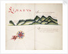Limary, South American Pacific coast by William Hack