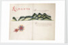 Limary, South American Pacific coast by William Hack