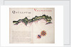 Quillota and Valpariso, South American Pacific coast by William Hack