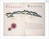 Caxaoma [and] Rapell by William Hack
