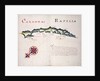 Caxaoma [and] Rapell by William Hack