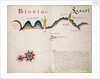 Biobio [and] Labapi by William Hack
