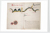Biobio [and] Labapi by William Hack