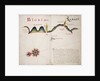 Biobio [and] Labapi by William Hack