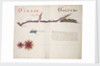 Tirao [and] Tolten by William Hack