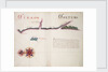 Tirao [and] Tolten by William Hack