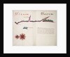 Tirao [and] Tolten by William Hack