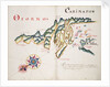 Osorno and Carimapo, South American Pacific coast by William Hack