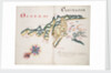 Osorno and Carimapo, South American Pacific coast by William Hack