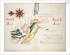 Straits of Magellan and Le Maire, South American Pacific coast by William Hack