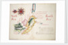Straits of Magellan and Le Maire, South American Pacific coast by William Hack