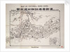 Map of Victoria, Hong Kong by Anonymous