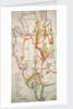 Ireland south of Limerick by unknown