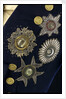 Royal Naval uniform: pattern 1795-1812 by unknown