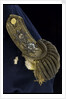 Royal Naval uniform: pattern 1795 by unknown