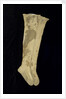 Stockings worn by Nelson (1758-1805) at the Battle of Trafalgar by unknown