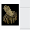 Royal Naval uniform: pattern 1795-1812 by unknown