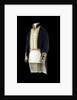 Royal Naval uniform: pattern 1812 by M.S. & Co.