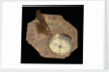 Butterfield dial, reverse by Nicolas Bion