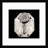 Butterfield dial, reverse by Pierre Sevin