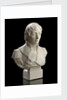 Parian ware bust of Vice-Admiral Horatio Nelson (1758-1805) by Robinson & Leadbeater Ltd.