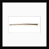 Chicotte (whip) by unknown