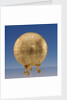 Terrestrial table globe by Spirinx
