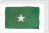 House flag, Ross Group by unknown