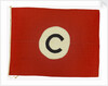 House flag, Constants Ltd by unknown