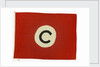 House flag, Constants Ltd by unknown