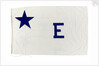 House flag, Rotterdam Steam Ship Co. by unknown