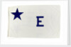 House flag, Rotterdam Steam Ship Co. by unknown