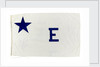 House flag, Rotterdam Steam Ship Co. by unknown