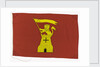 House flag, Tyne-Tees Steam Ship Co. Ltd by unknown