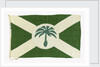 House flag, Palm Line Ltd by Unknown