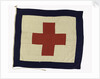 House flag, Rowland & Marwoods Steam Ship Co. by unknown